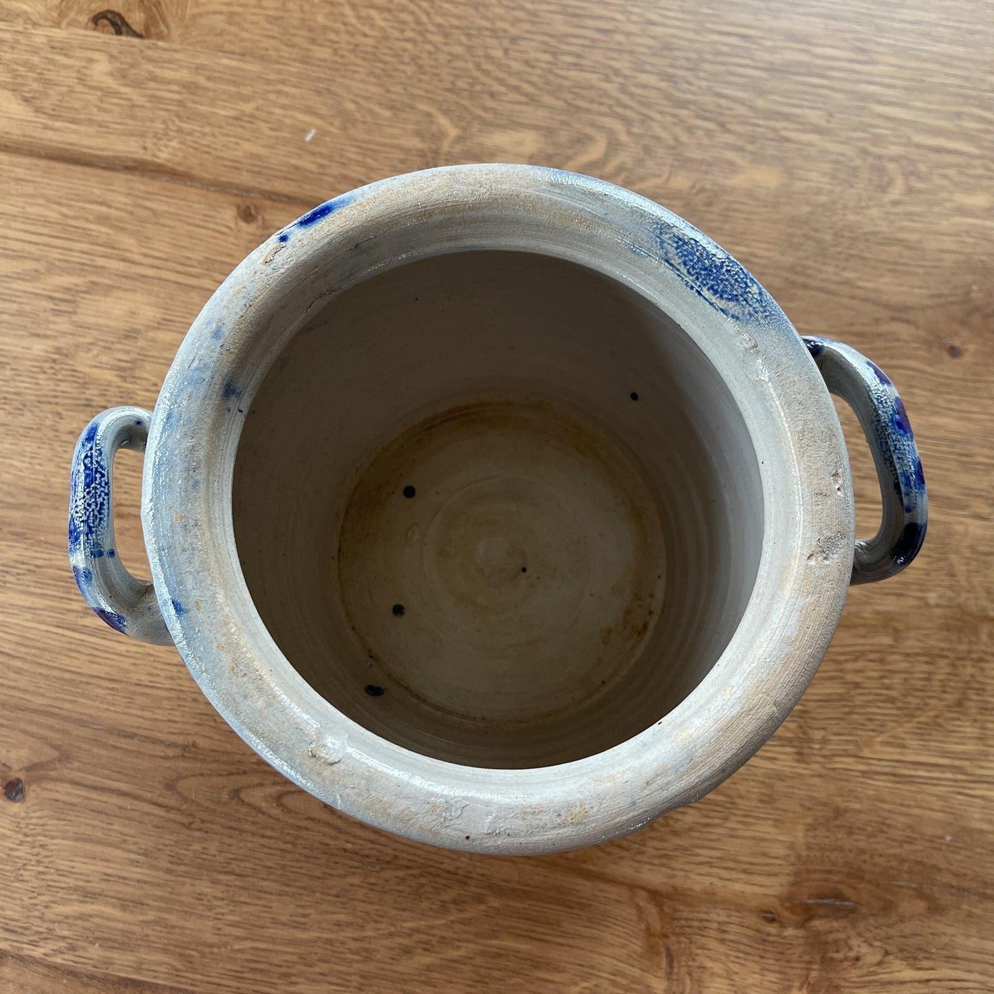 Keulse aardewerk pot - Bamestra Curiosa