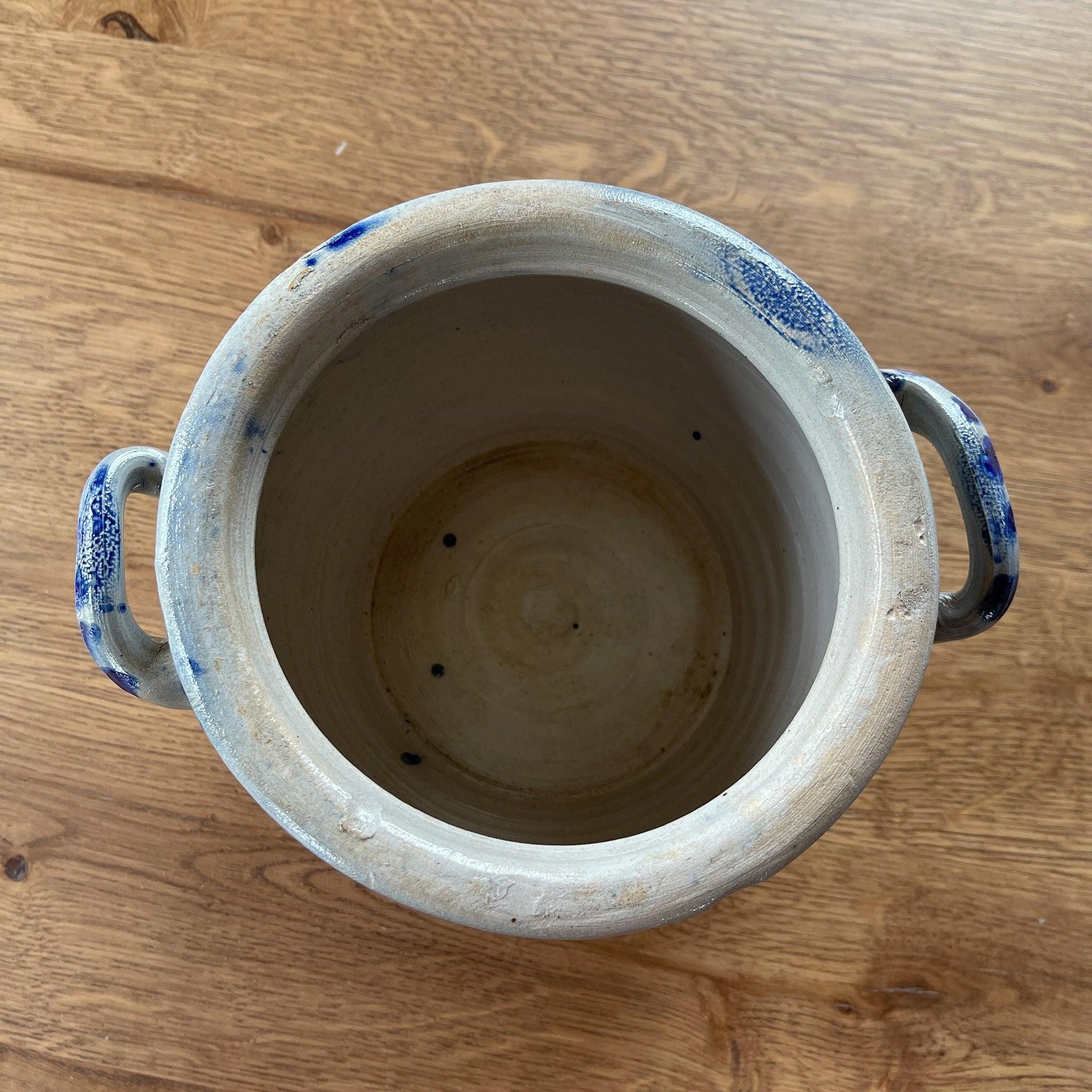 Keulse aardewerk pot - Bamestra Curiosa