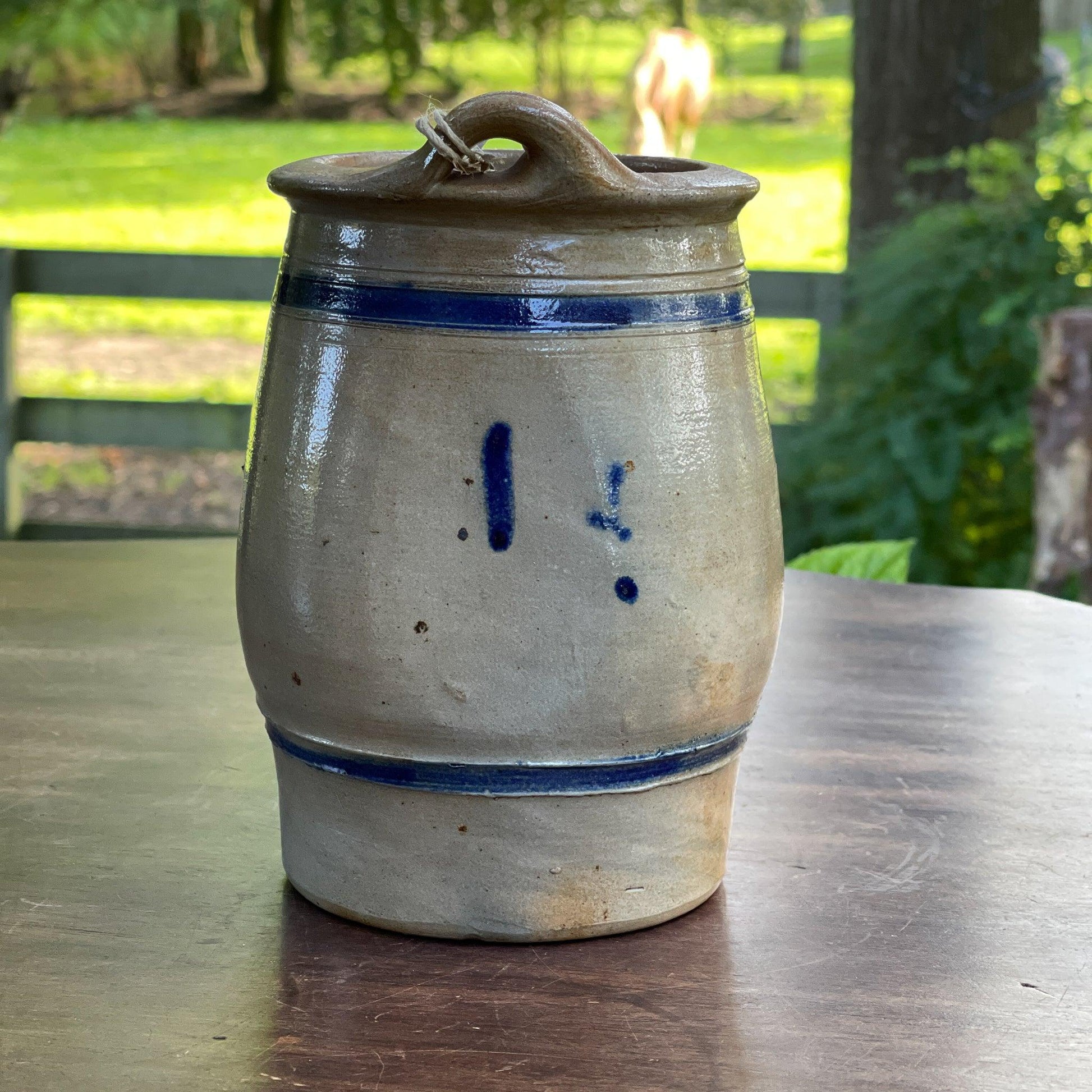 Keulse aardewerk pot - Bamestra Curiosa