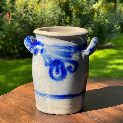 Keulse aardewerk pot - Bamestra Curiosa