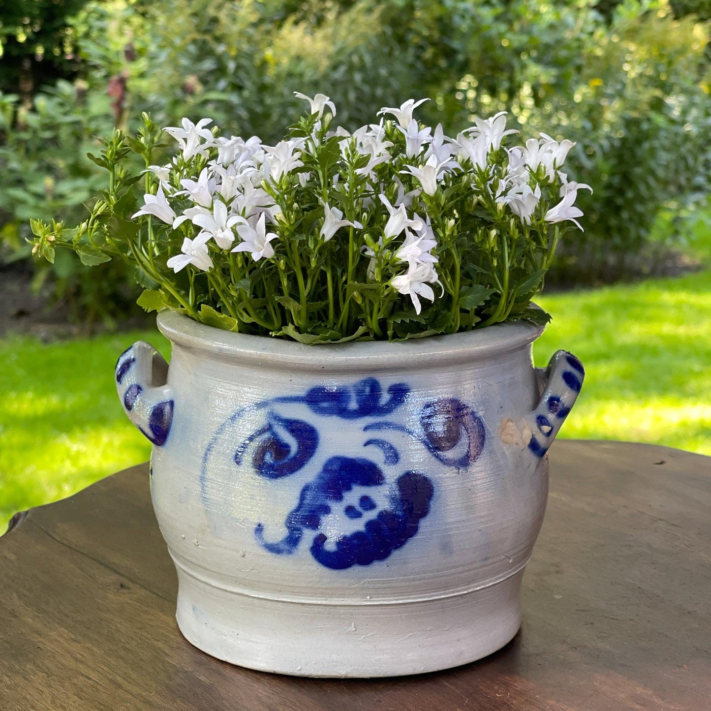 Keulse aardewerk pot - Bamestra Curiosa