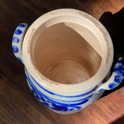 Keulse aardewerk pot - Bamestra Curiosa