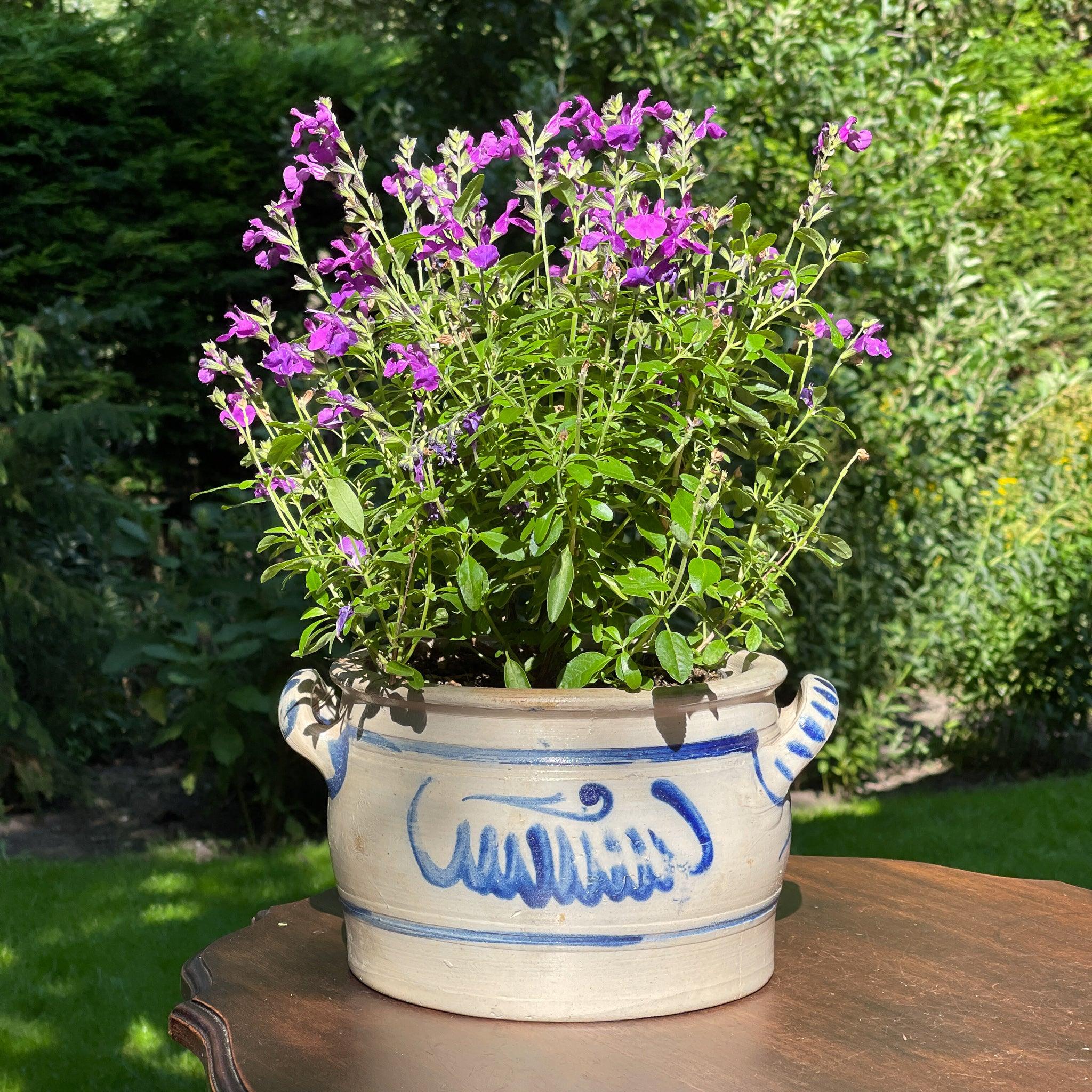 Keulse aardewerk pot / bloempot - The Collectionist