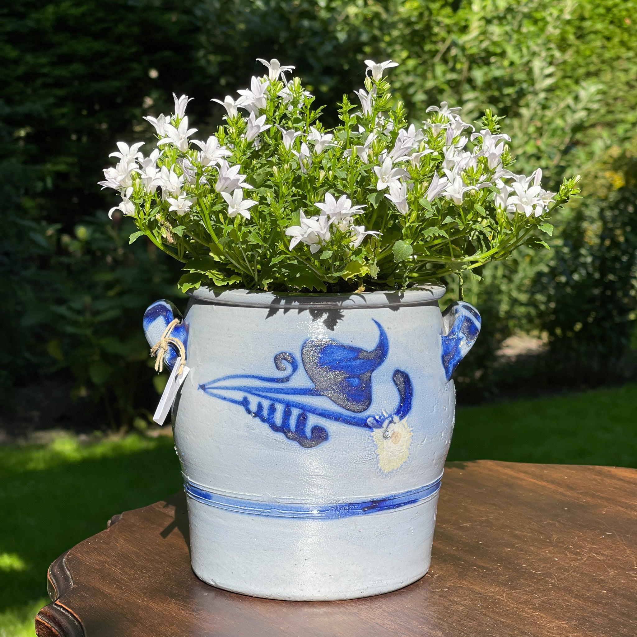 Keulse aardewerk pot / bloempot - The Collectionist