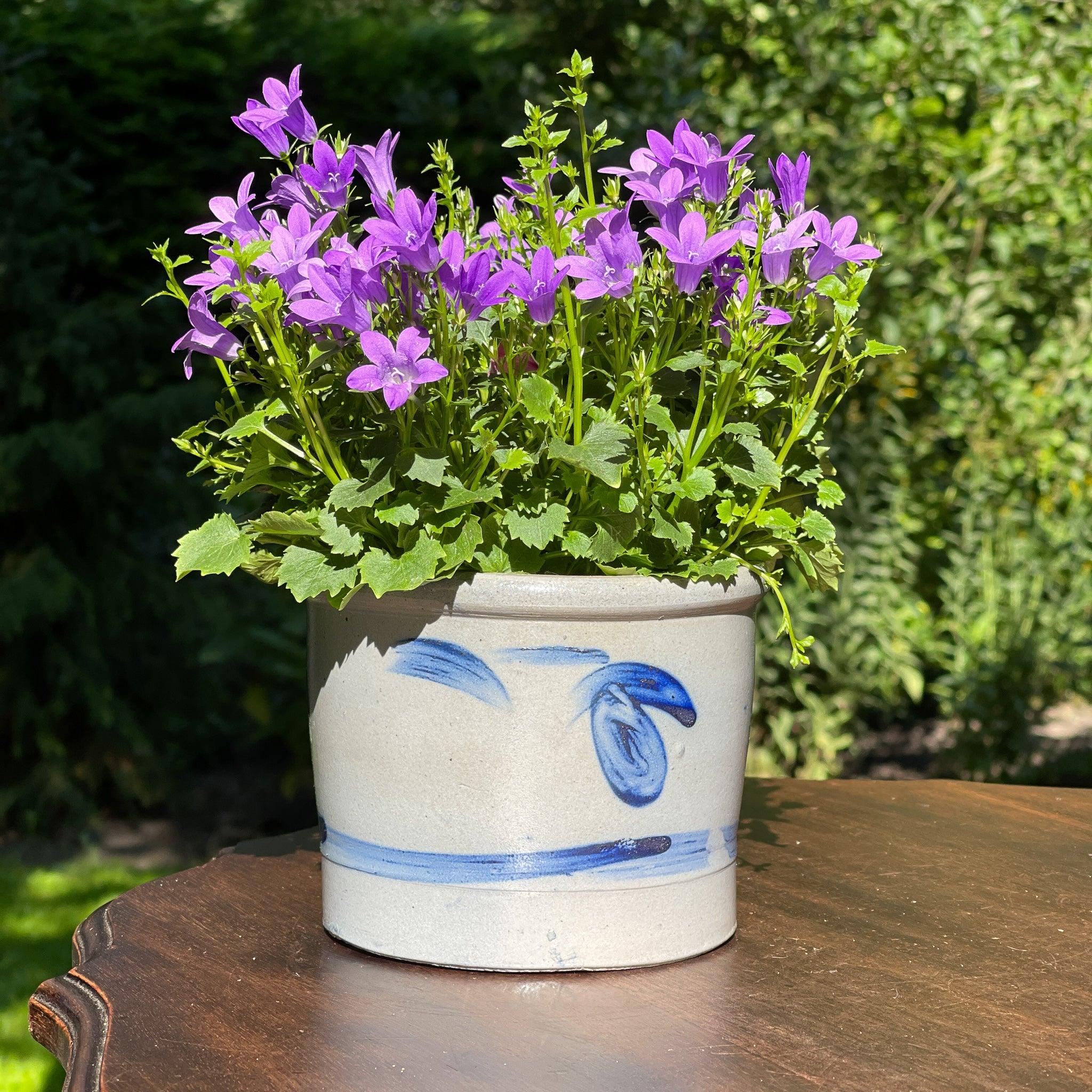 Keulse aardewerk pot / bloempot - The Collectionist