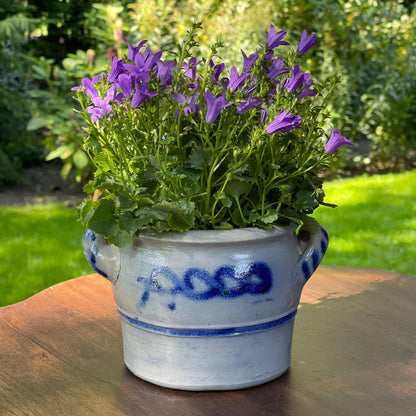 Keulse aardewerk pot / bloempot - Bamestra Curiosa