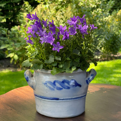 Keulse aardewerk pot / bloempot - Bamestra Curiosa