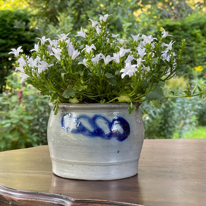 Keulse aardewerk roomboter pot J. de Kroes Overschie - Bamestra Curiosa