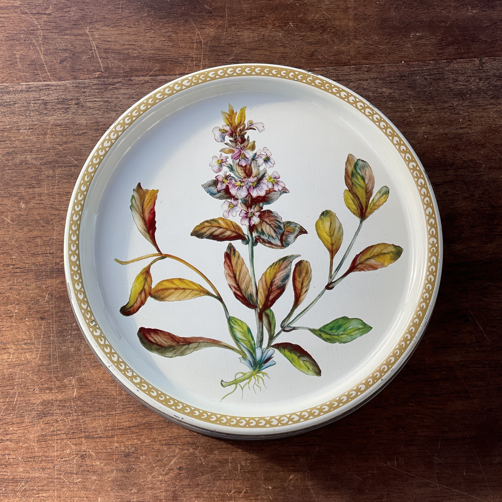 Koekblik Met Botanische Afbeelding - The Collectionist