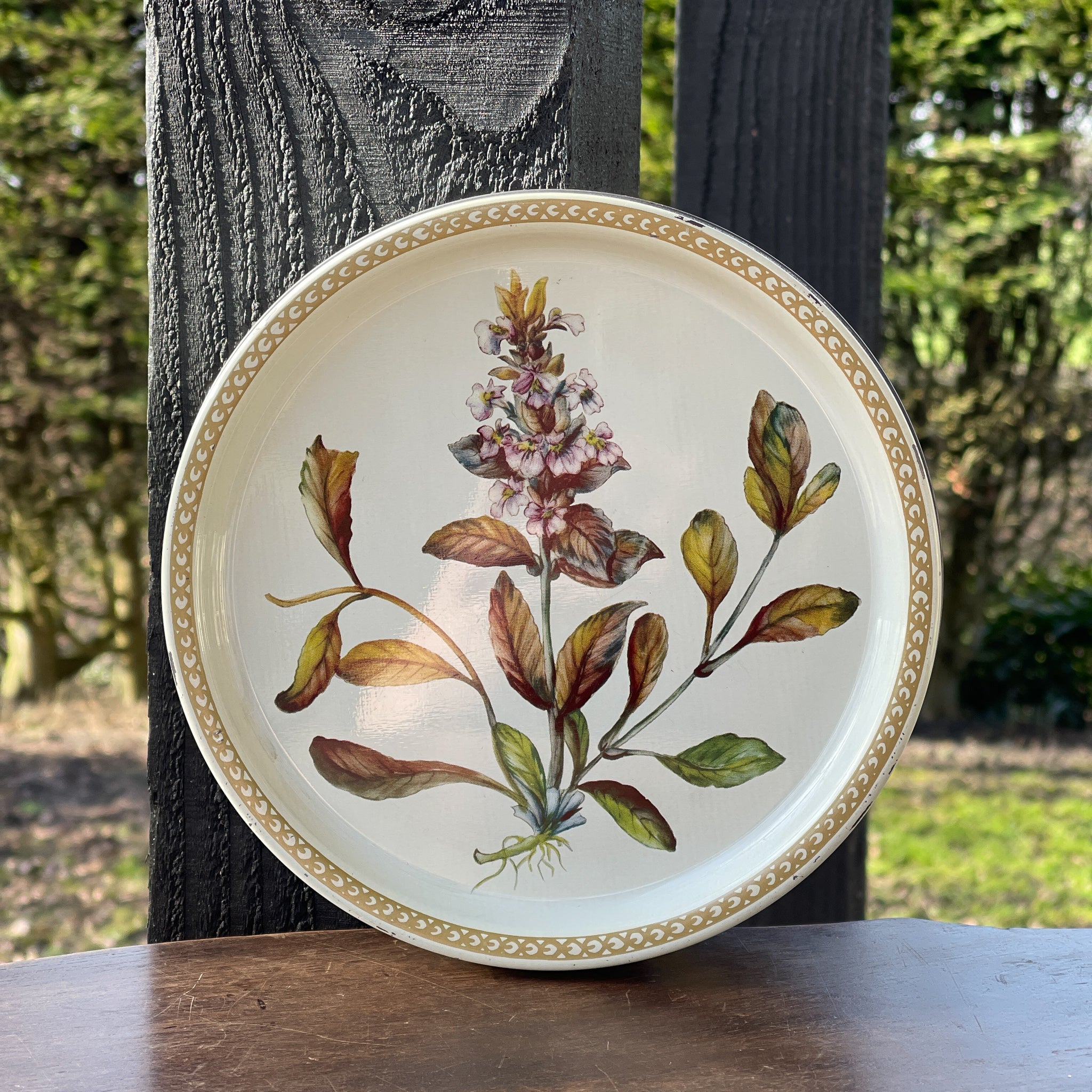 Koekblik Met Botanische Afbeelding - The Collectionist