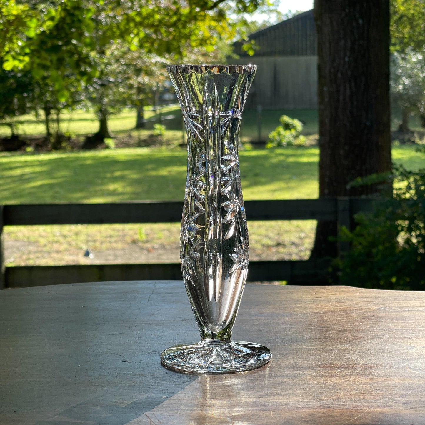 Kristallen vaasje - Bamestra Curiosa