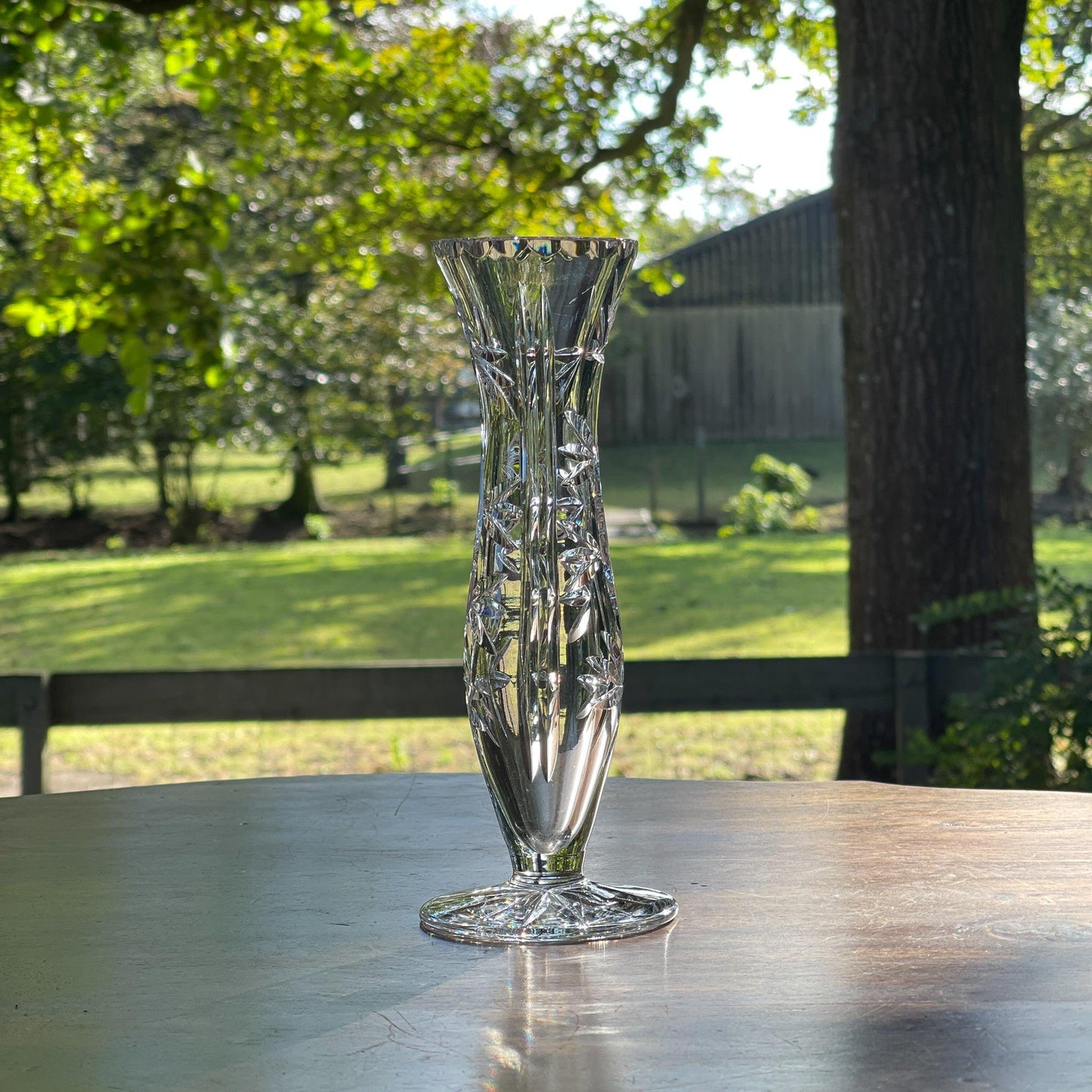 Kristallen vaasje - Bamestra Curiosa