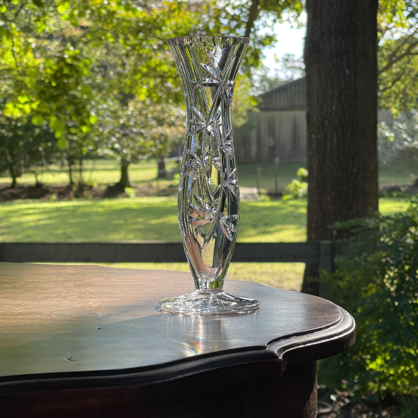 Kristallen vaasje - Bamestra Curiosa