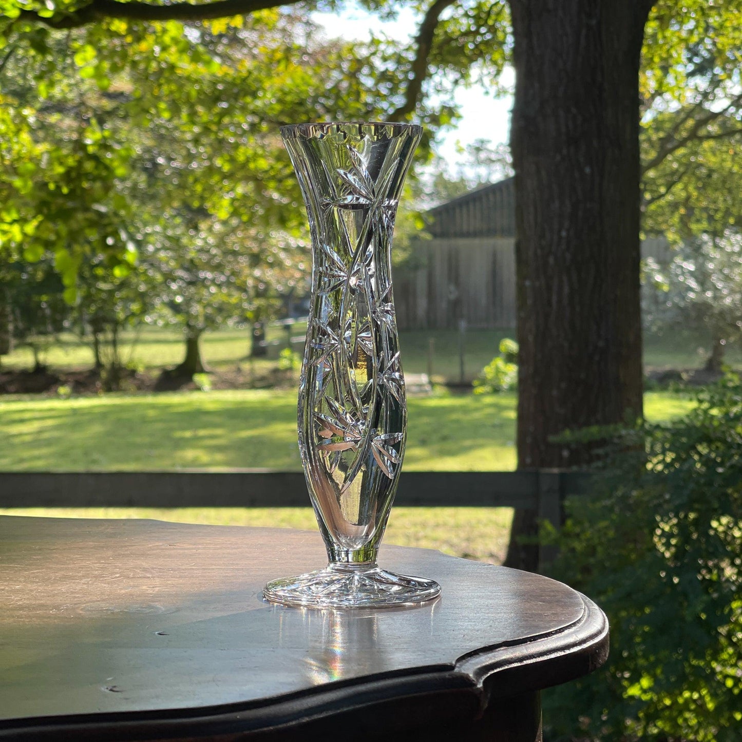 Kristallen vaasje - Bamestra Curiosa
