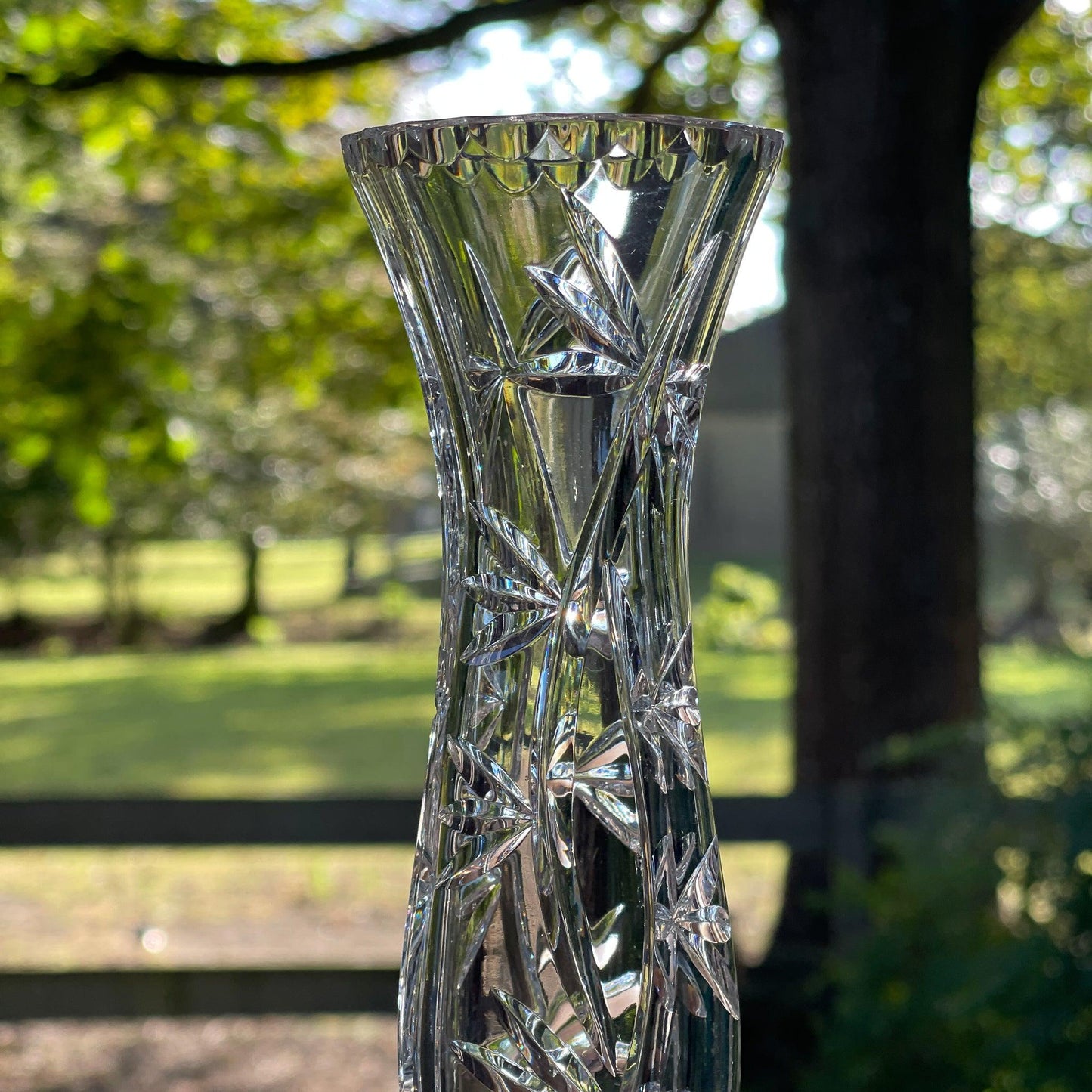 Kristallen vaasje - Bamestra Curiosa