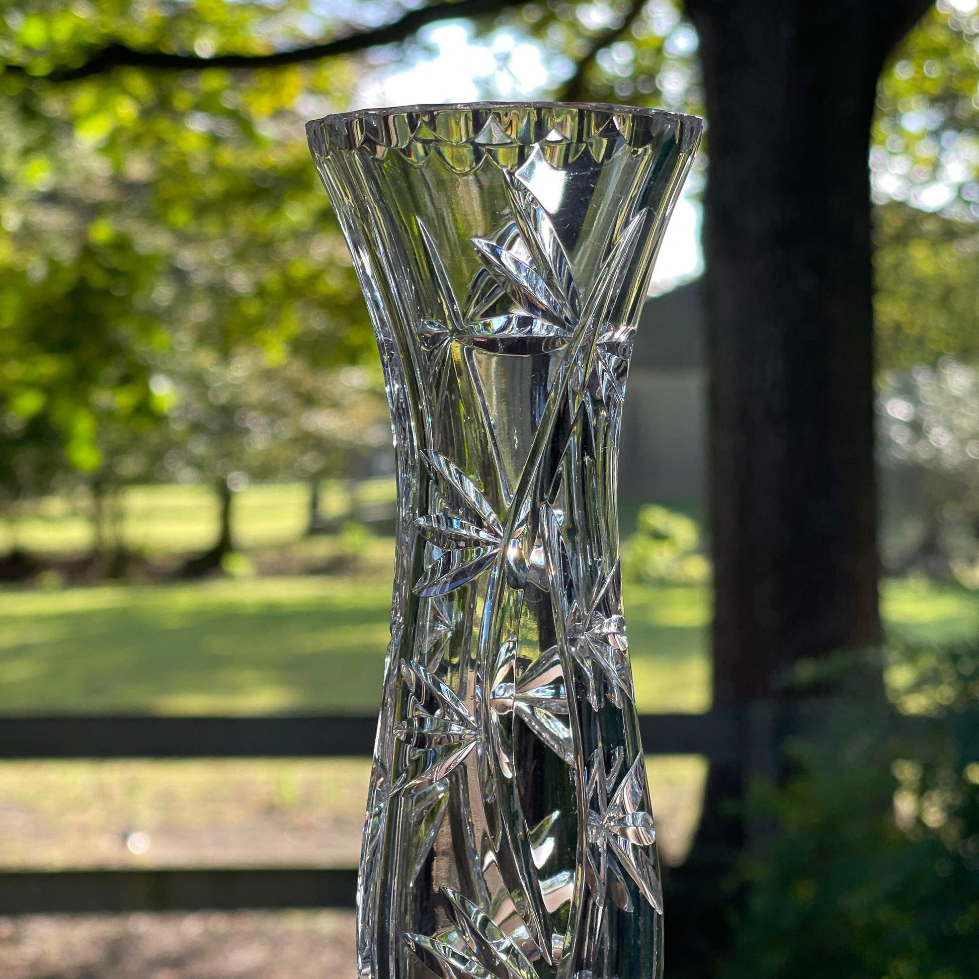 Kristallen vaasje - Bamestra Curiosa