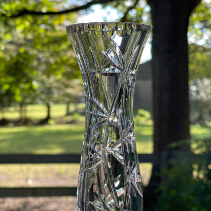 Kristallen vaasje - Bamestra Curiosa