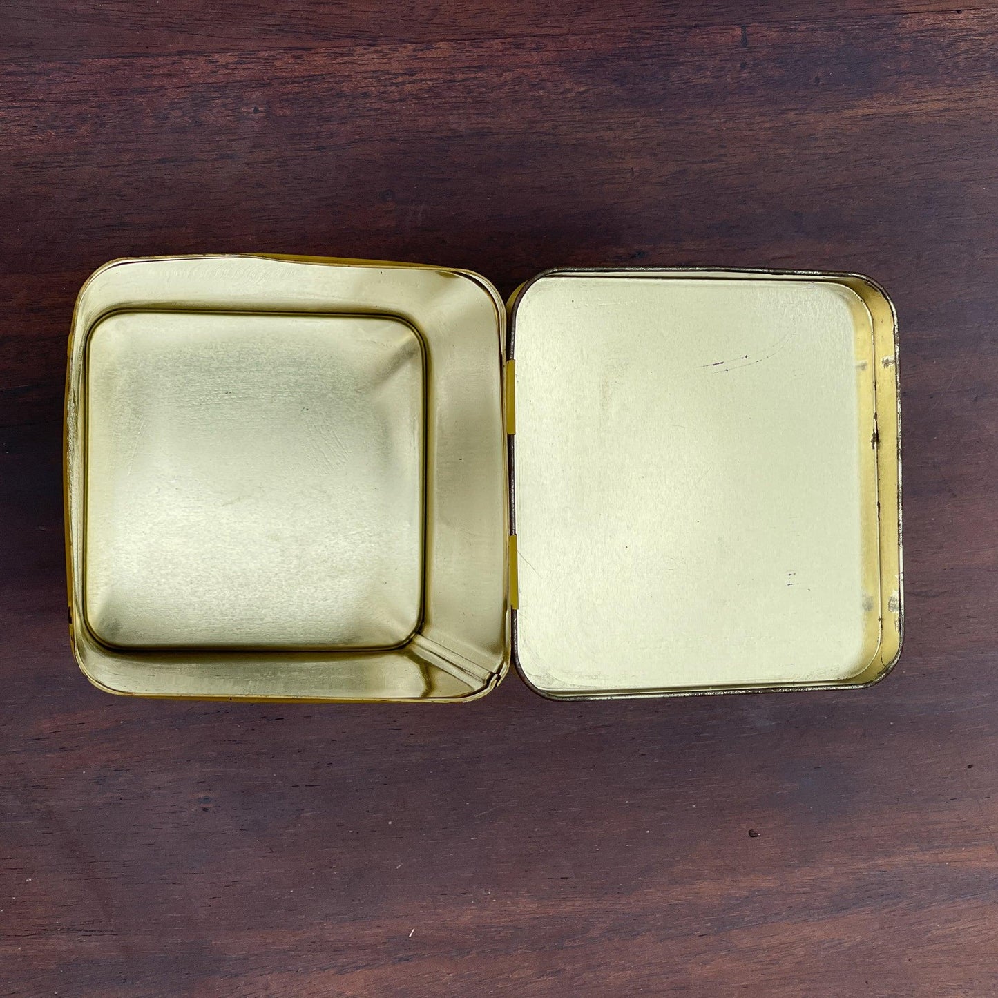 Maggi blik - Bamestra Curiosa