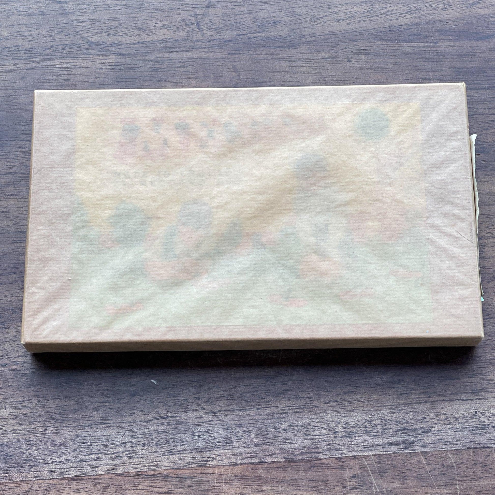 Meccano uitrusting nummer 00 - Bamestra Curiosa