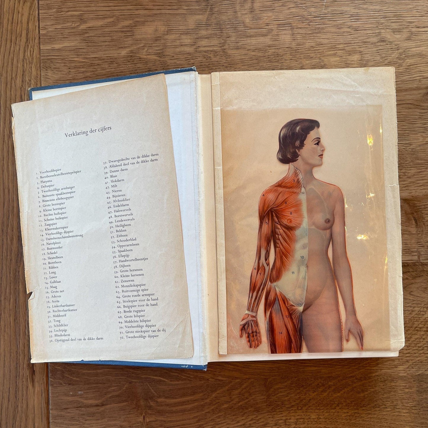 Medische W.P. 1 & 2 Elsevier - Bamestra Curiosa