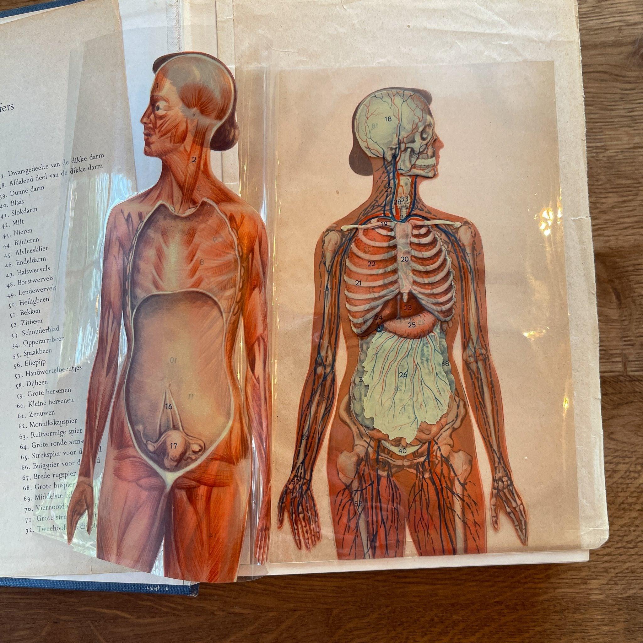 Medische W.P. 1 & 2 Elsevier - The Collectionist