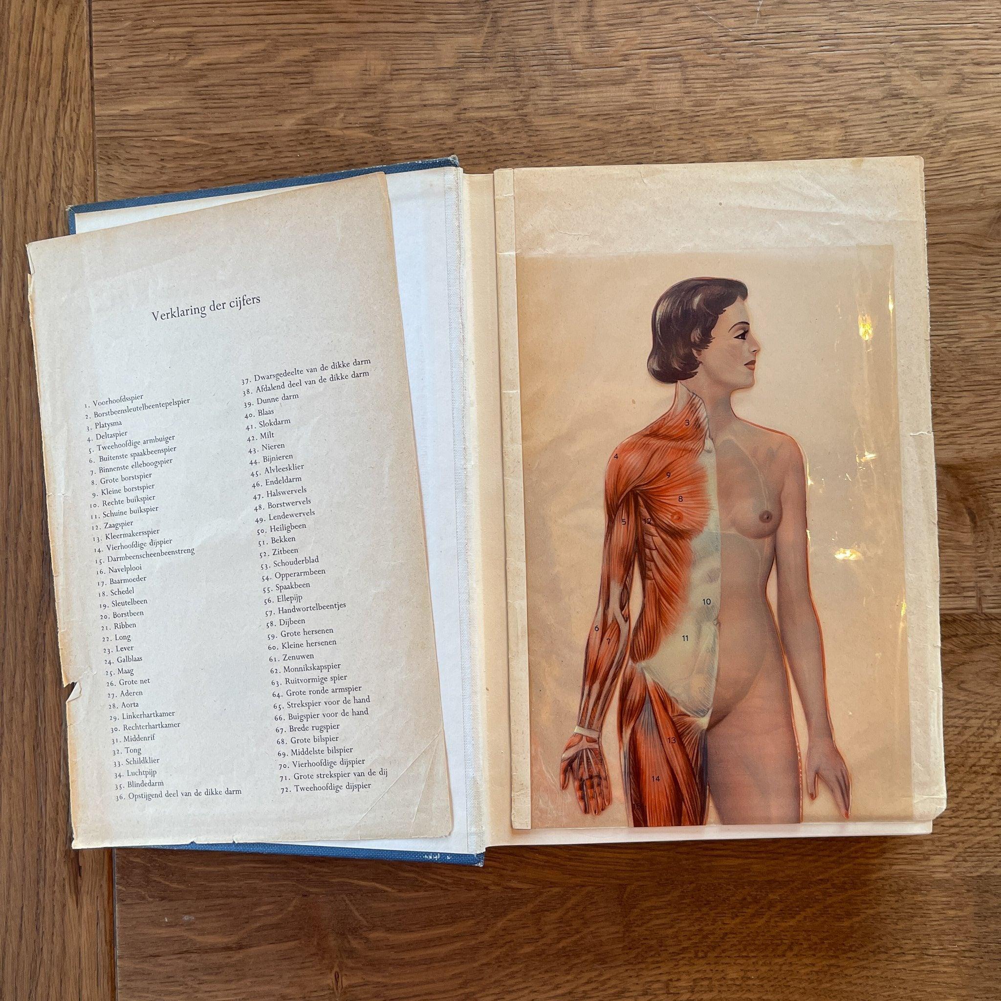 Medische W.P. 1 & 2 Elsevier - The Collectionist
