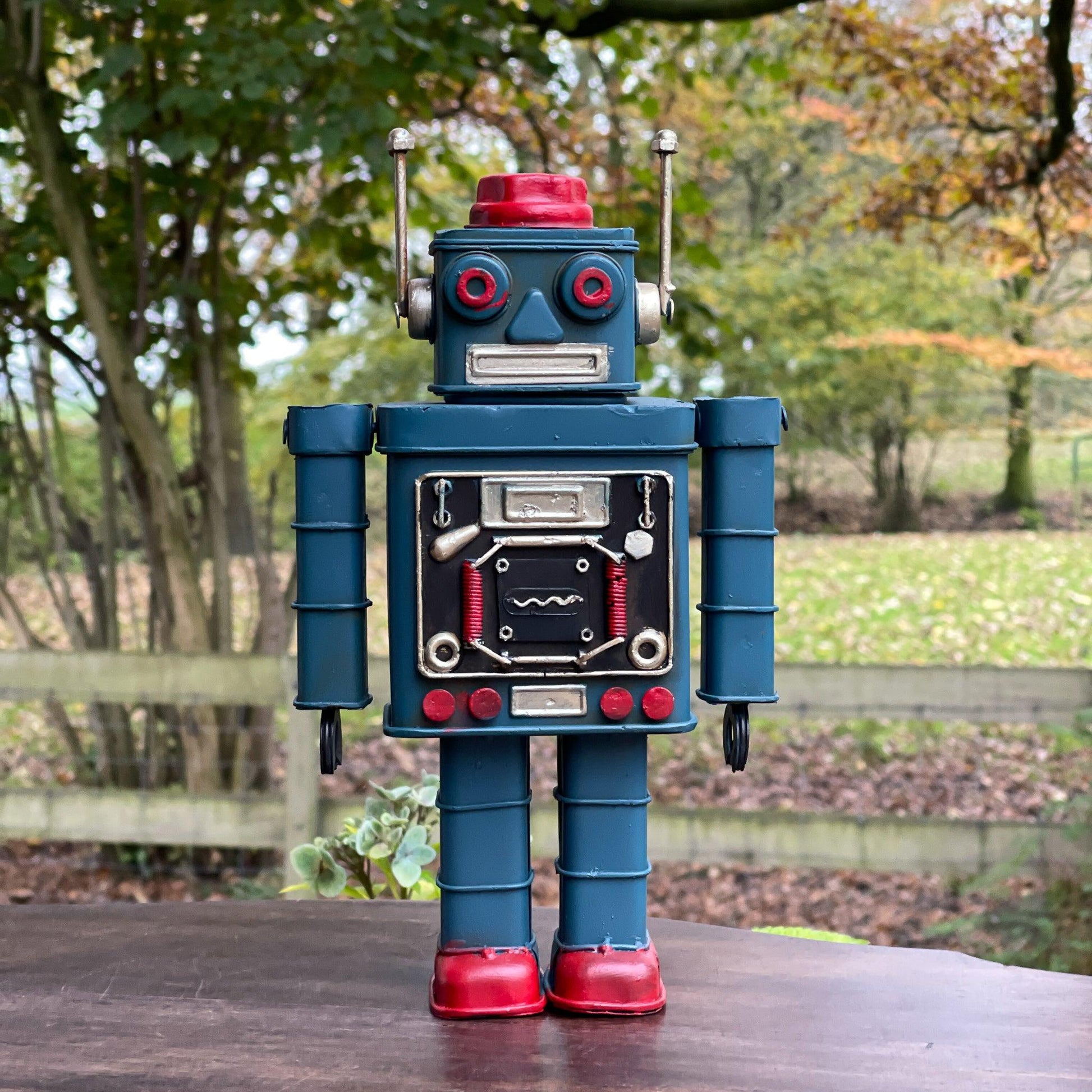 Metalen robot - Bamestra Curiosa