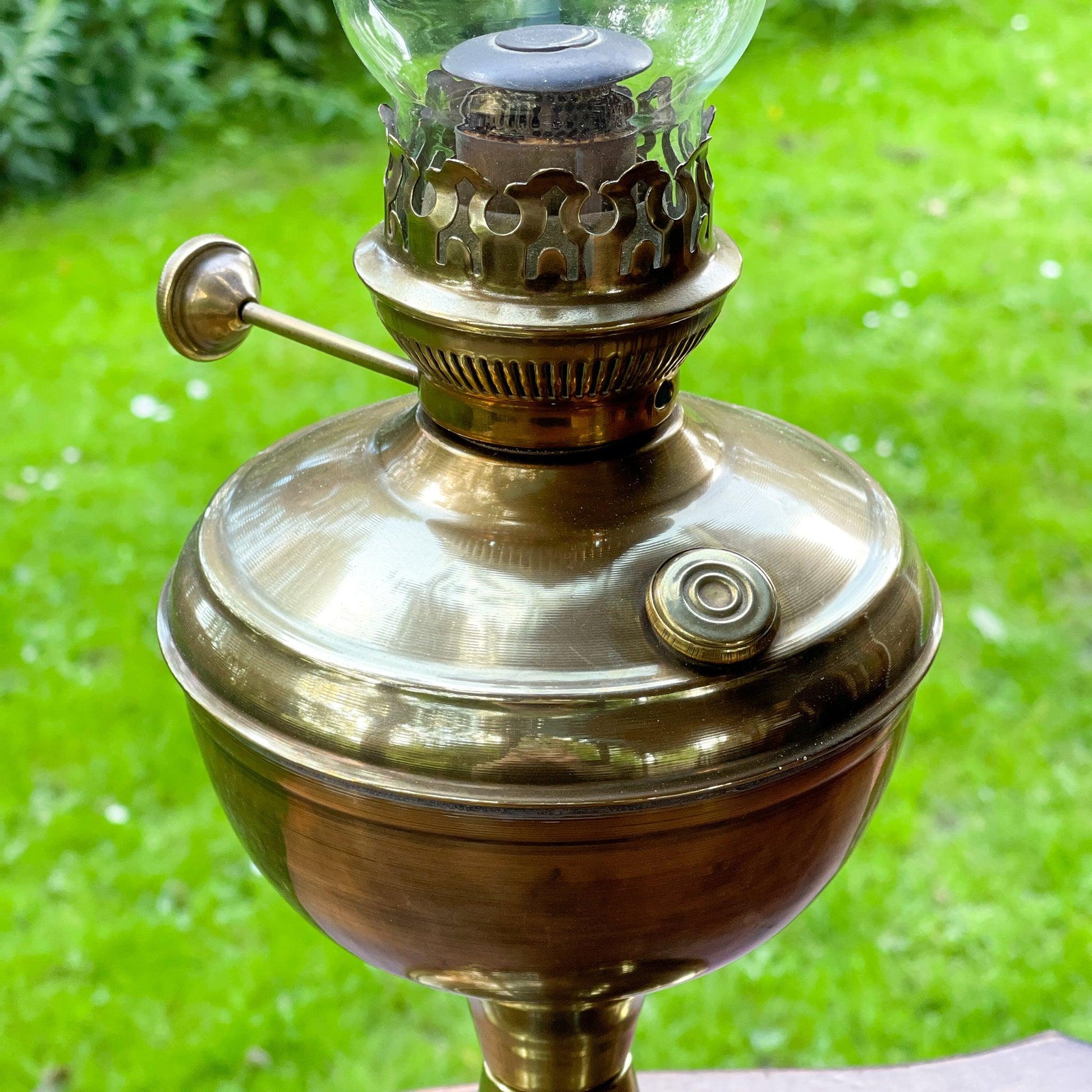 Olielamp - Bamestra Curiosa