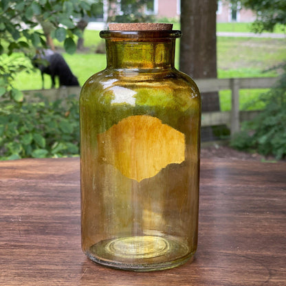 Oude Fles Witch Hazel - Bamestra Curiosa