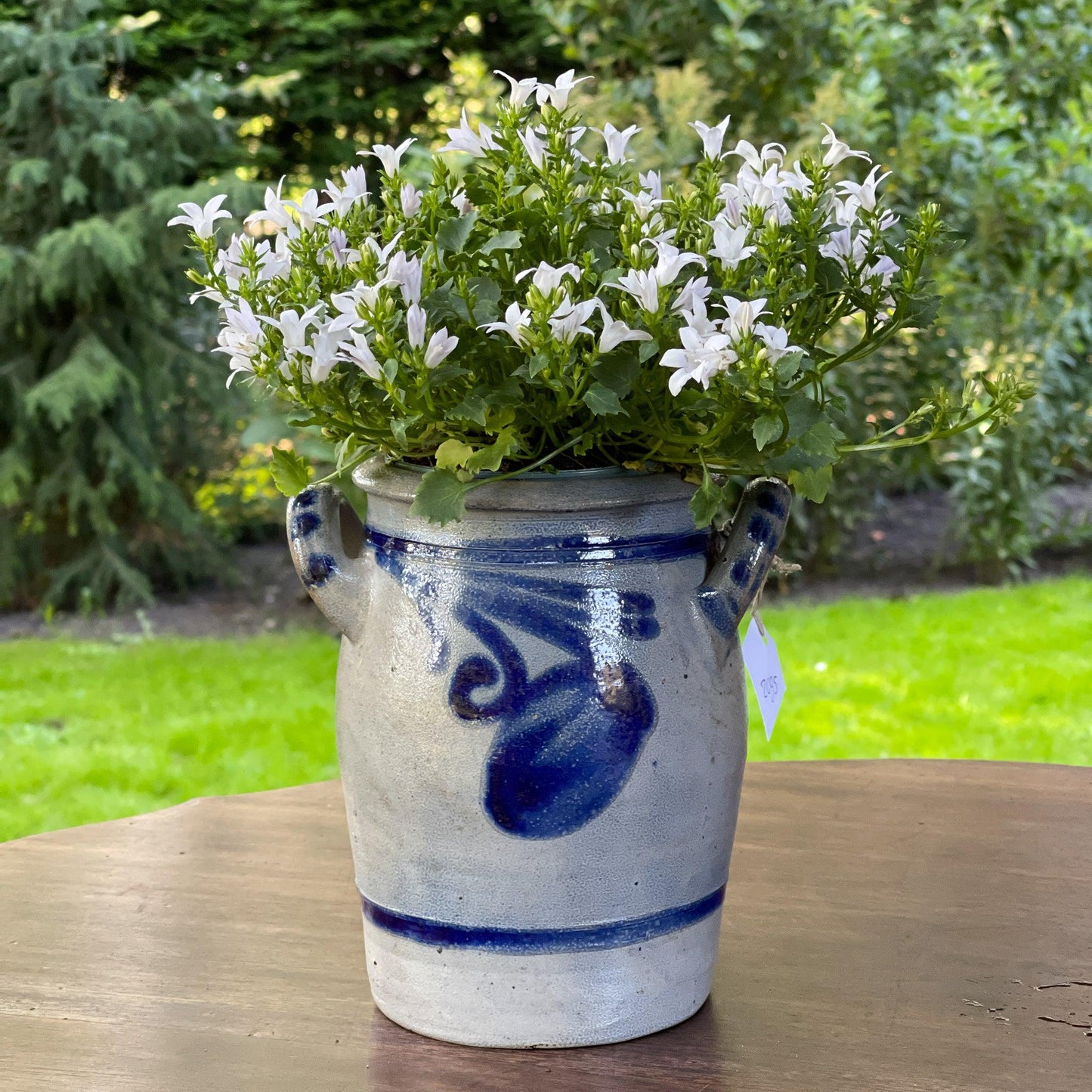 Oude Keulse aardewerk pot - Bamestra Curiosa