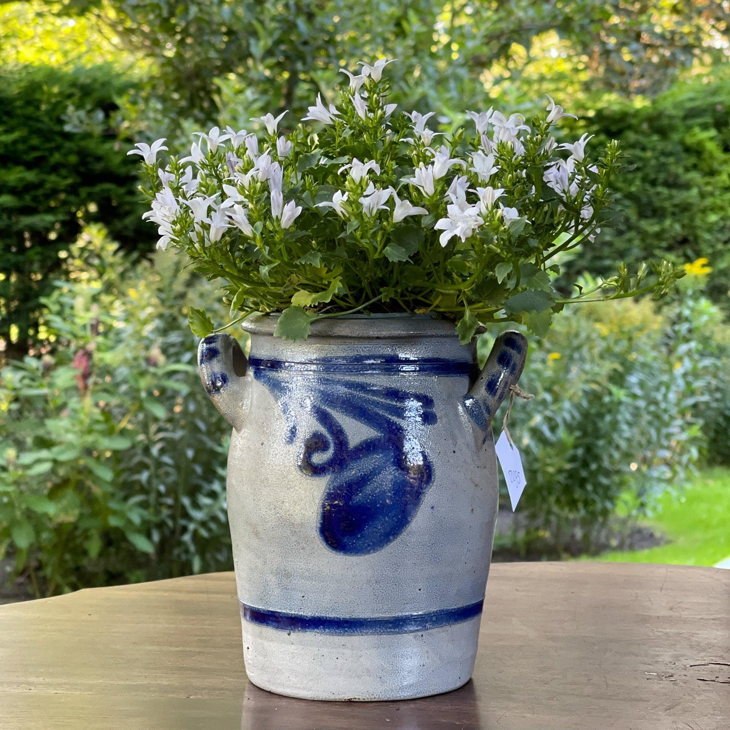 Oude Keulse aardewerk pot - Bamestra Curiosa