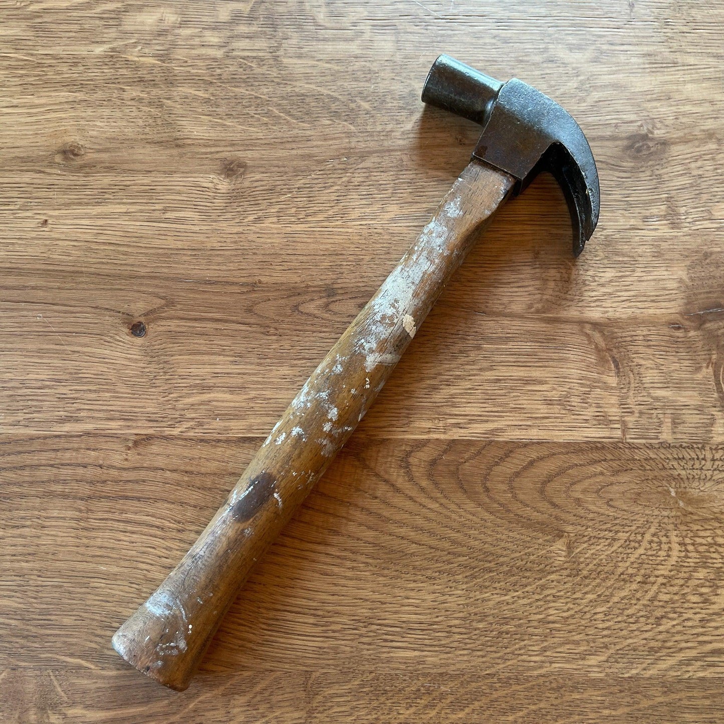 Oude klauwhamer - Bamestra Curiosa