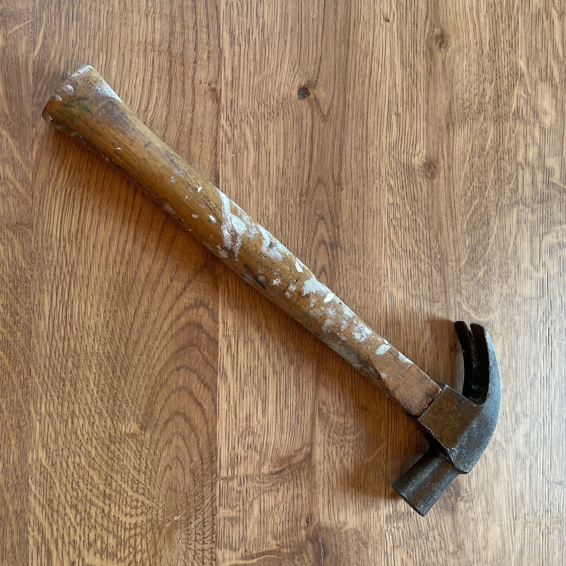 Oude klauwhamer - Bamestra Curiosa