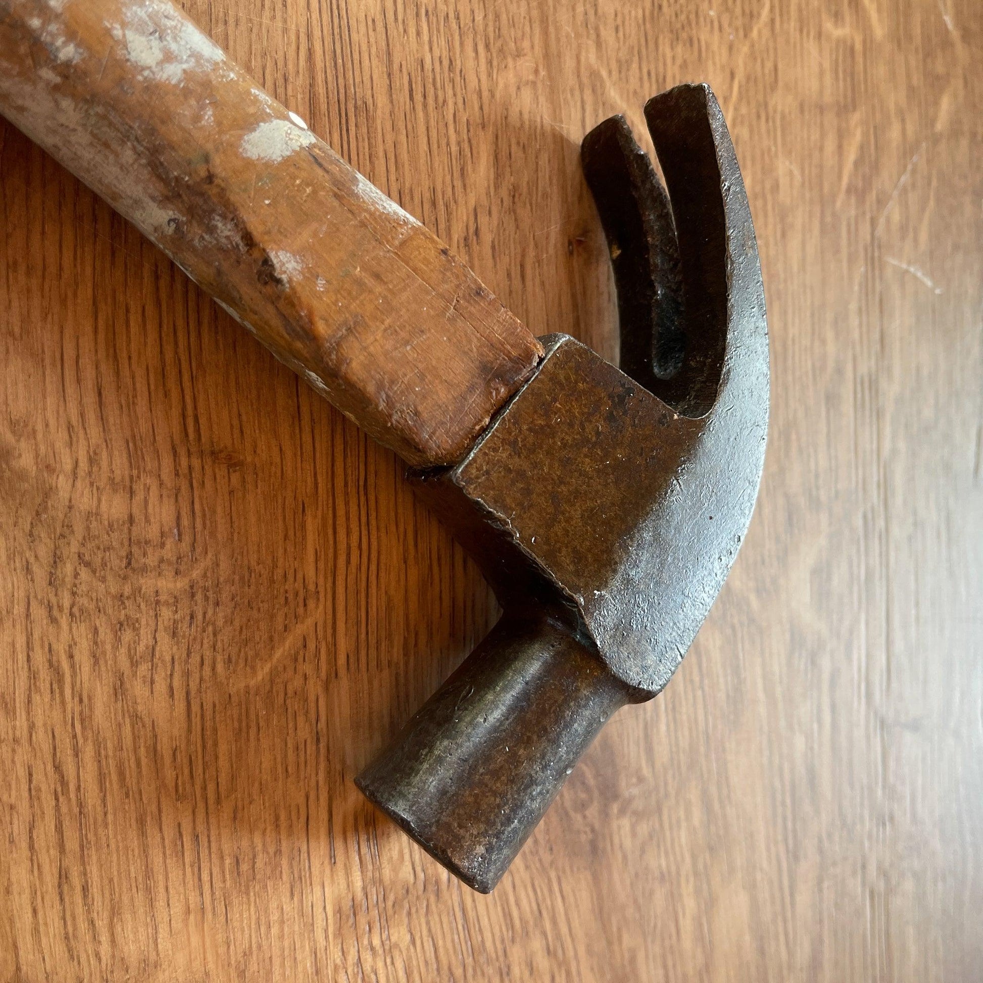 Oude klauwhamer - Bamestra Curiosa