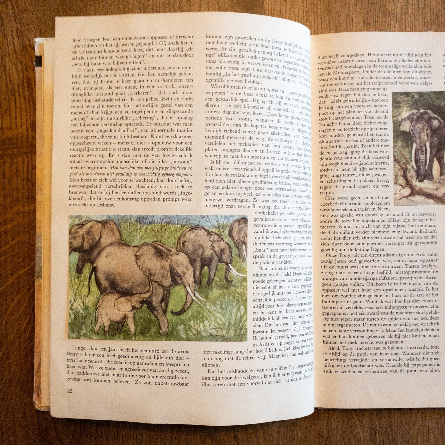 Over Dieren Raak Ik Niet Uitgepraat - The Collectionist