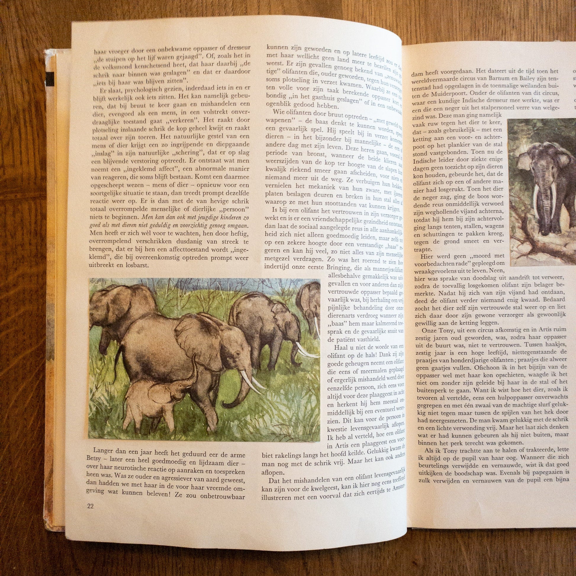 Over Dieren Raak Ik Niet Uitgepraat - The Collectionist