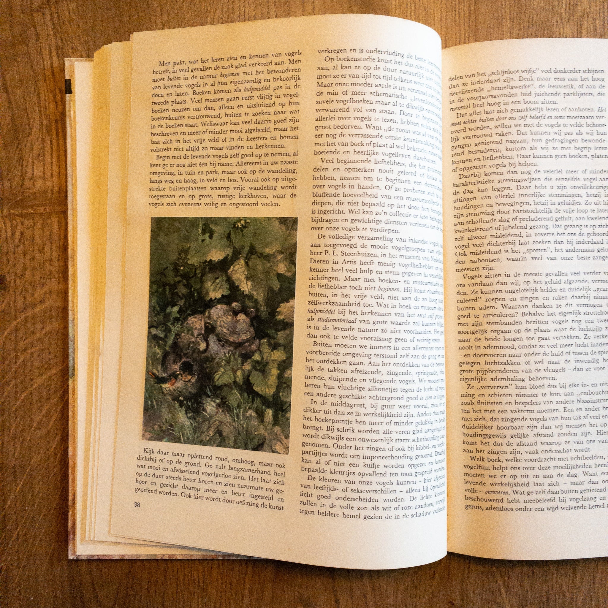 Over Dieren Raak Ik Niet Uitgepraat - The Collectionist