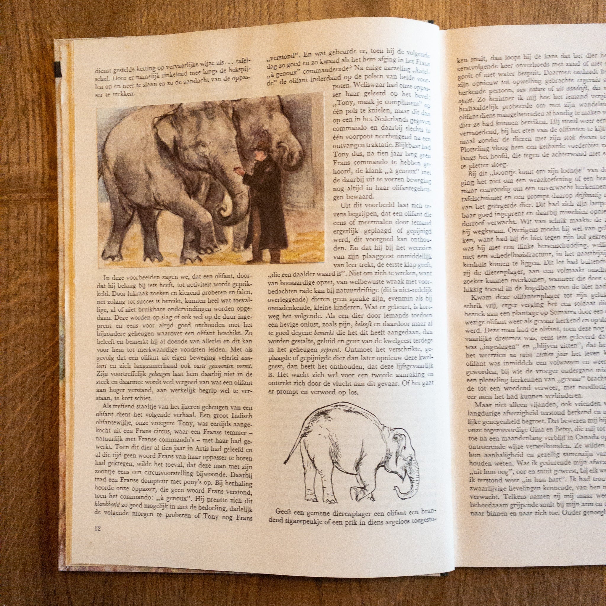 Over Dieren Raak Ik Niet Uitgepraat - The Collectionist