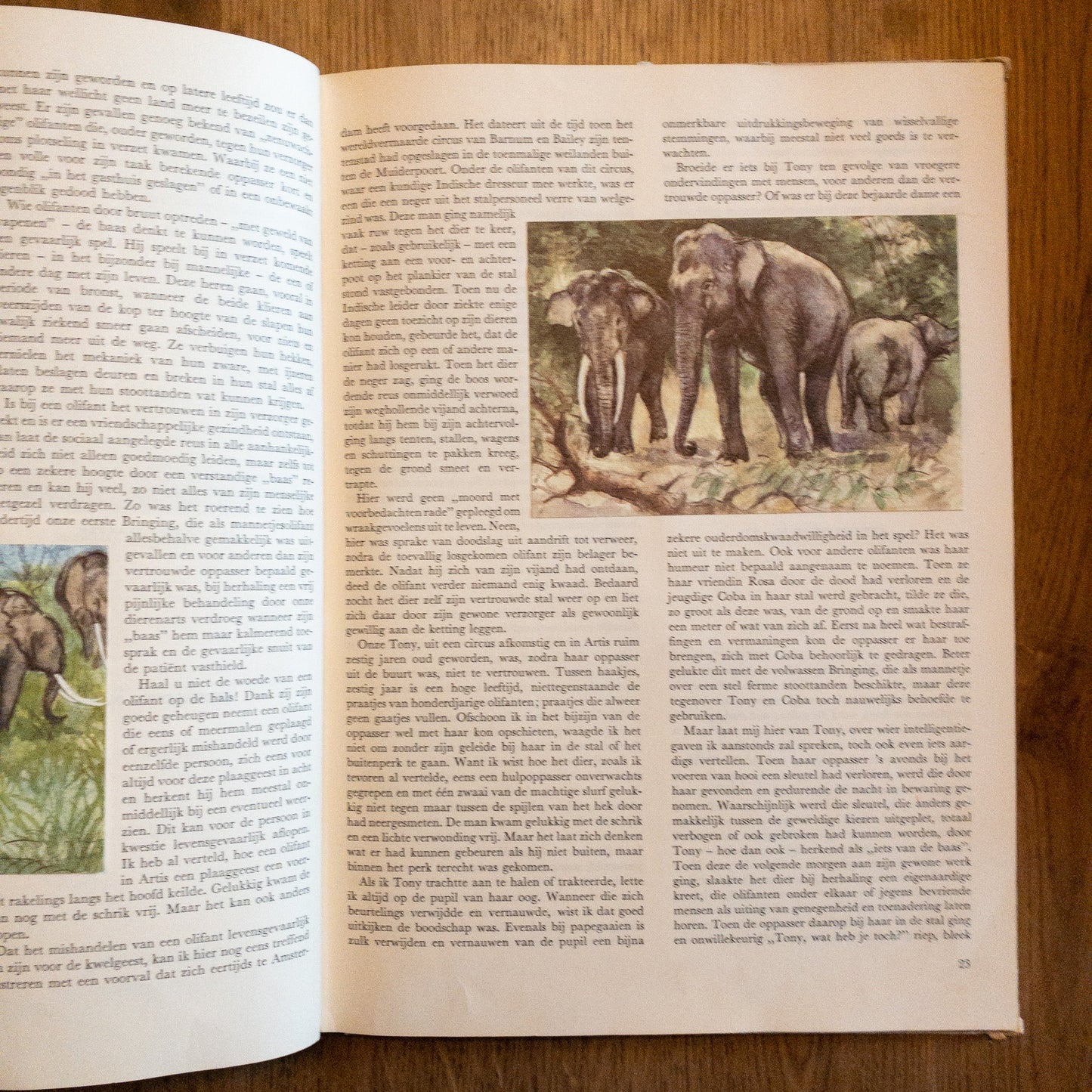 Over Dieren Raak Ik Niet Uitgepraat - The Collectionist