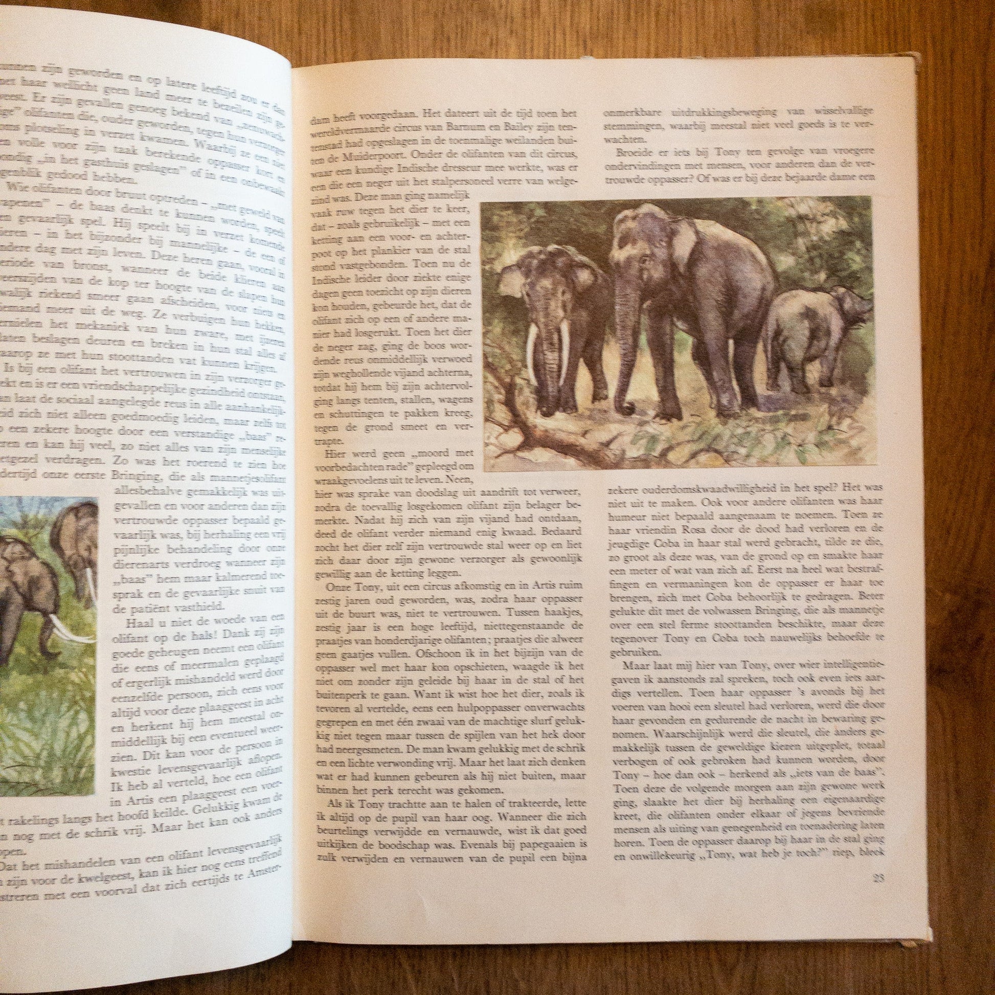 Over Dieren Raak Ik Niet Uitgepraat - The Collectionist