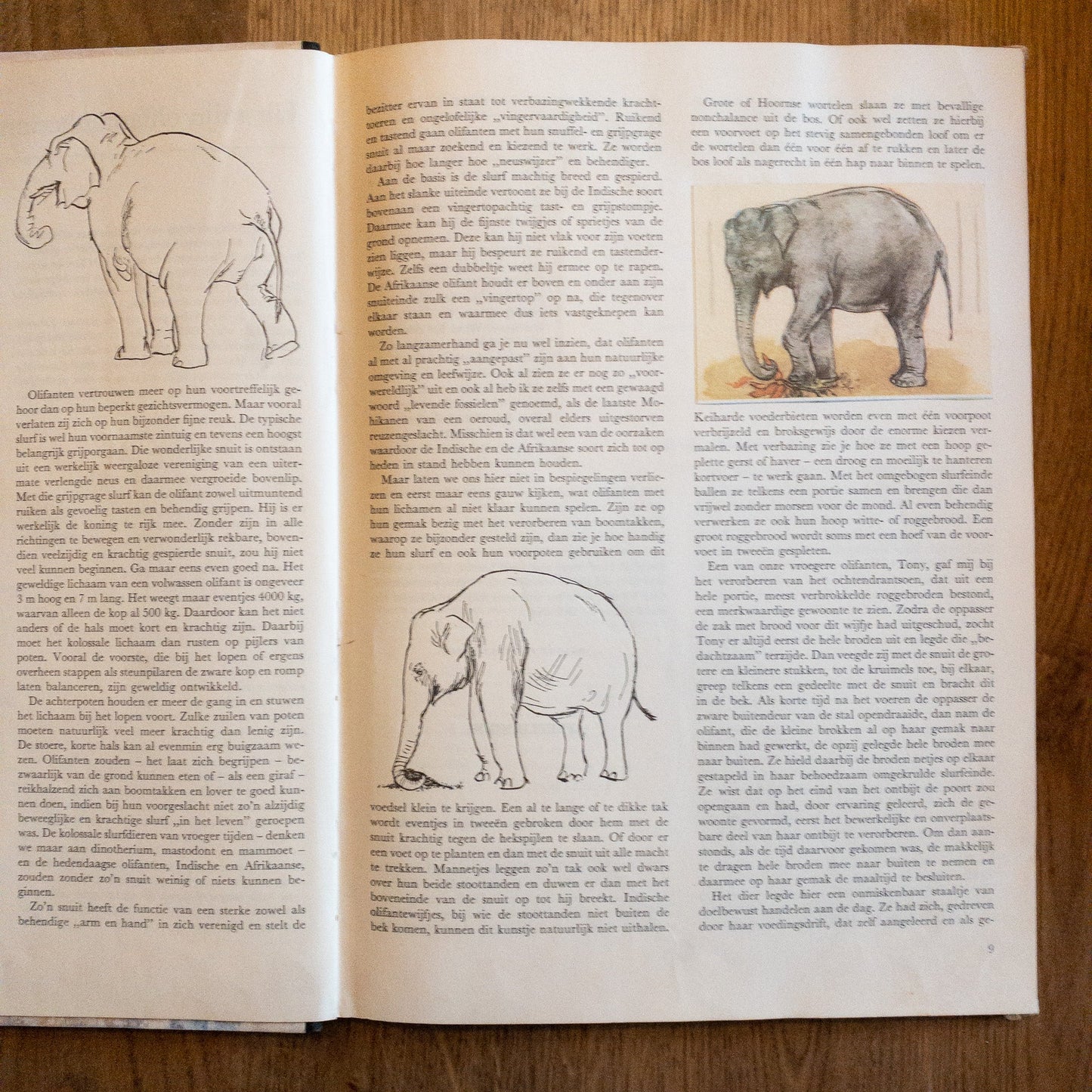 Over Dieren Raak Ik Niet Uitgepraat - The Collectionist