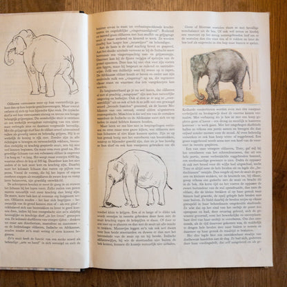 Over Dieren Raak Ik Niet Uitgepraat - The Collectionist