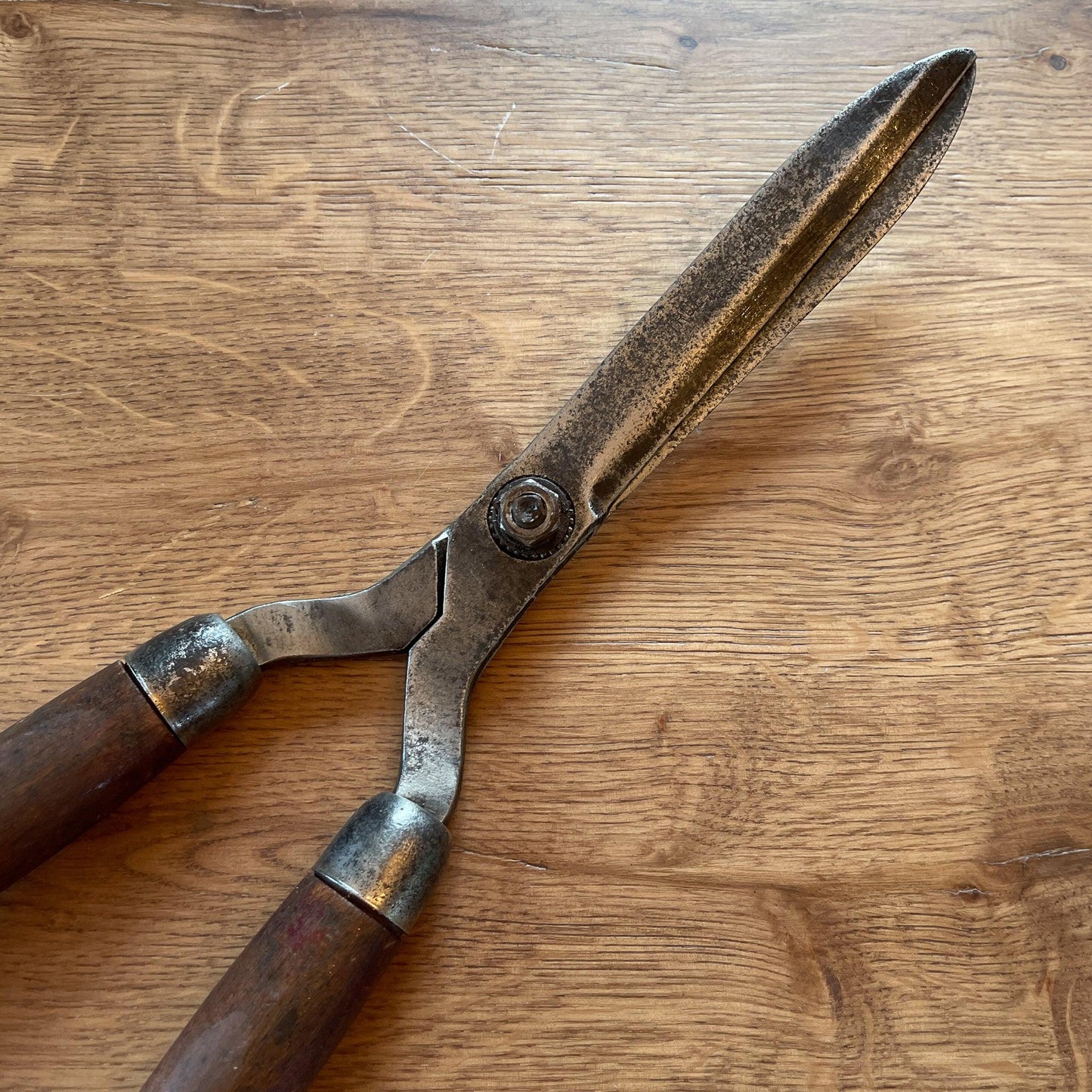 Prachtige antieke heggenschaar - Bamestra Curiosa