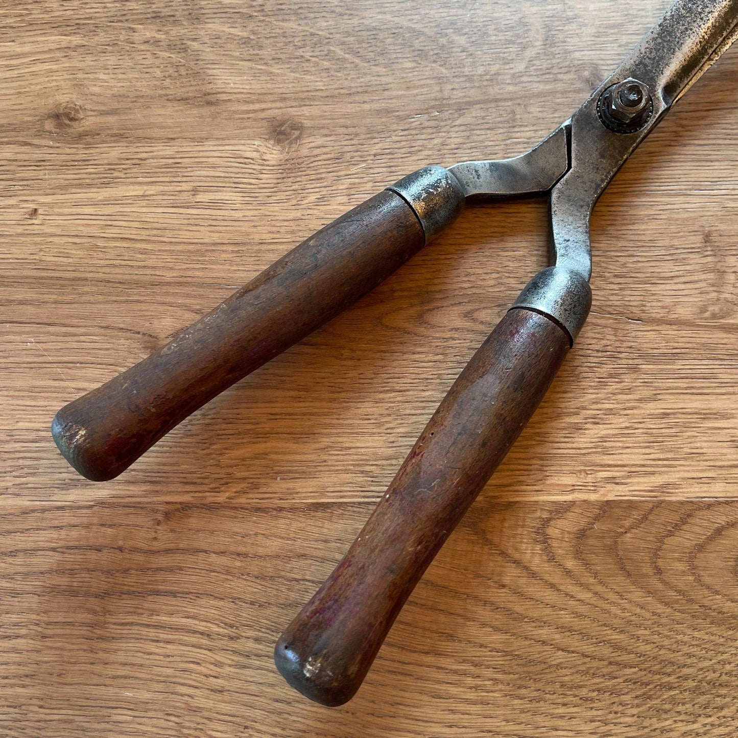 Prachtige antieke heggenschaar - Bamestra Curiosa