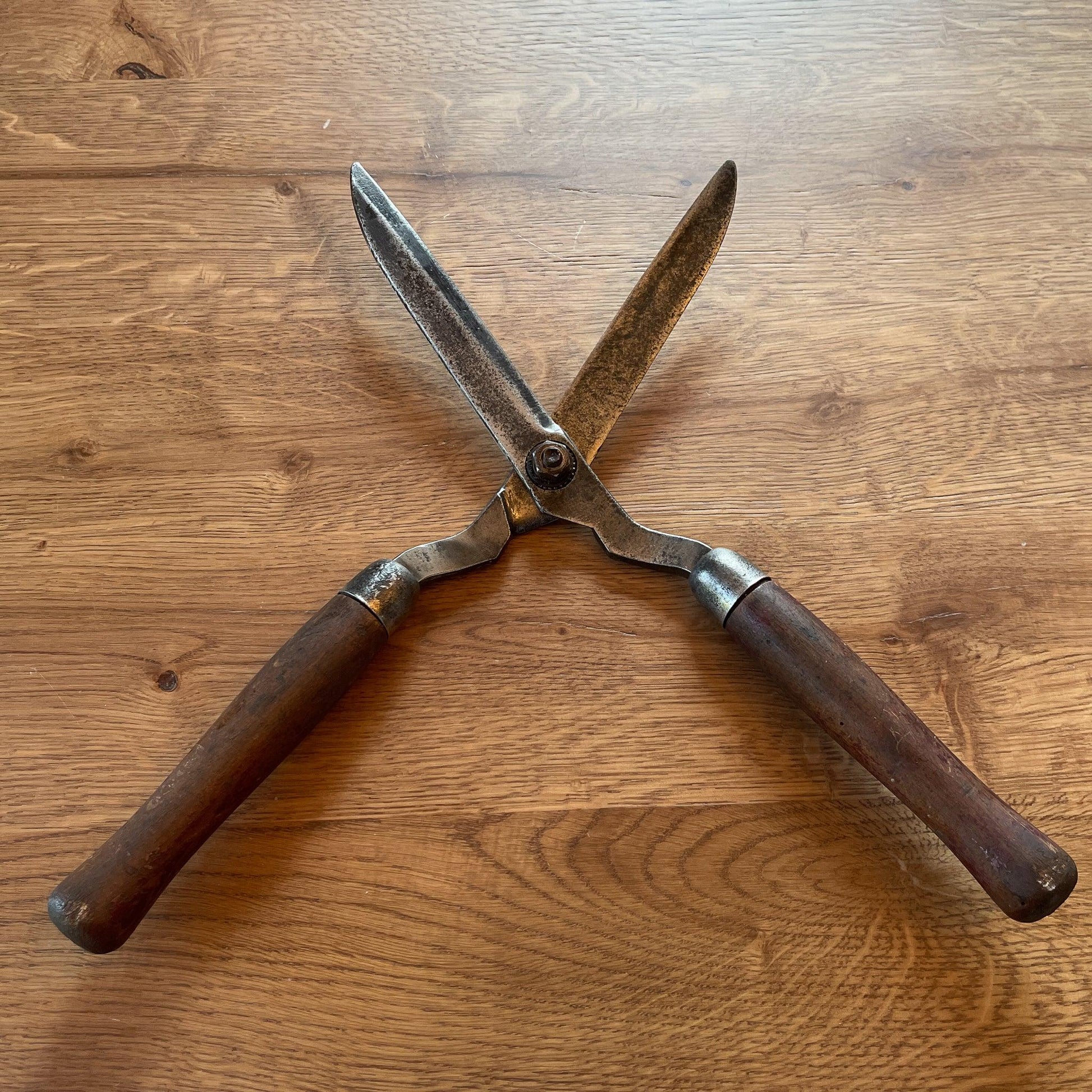 Prachtige antieke heggenschaar - Bamestra Curiosa