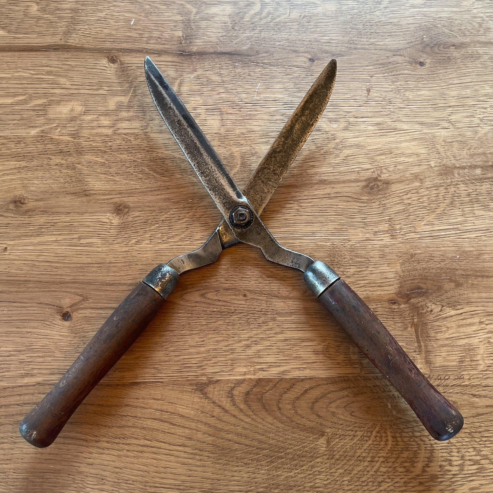 Prachtige antieke heggenschaar - Bamestra Curiosa