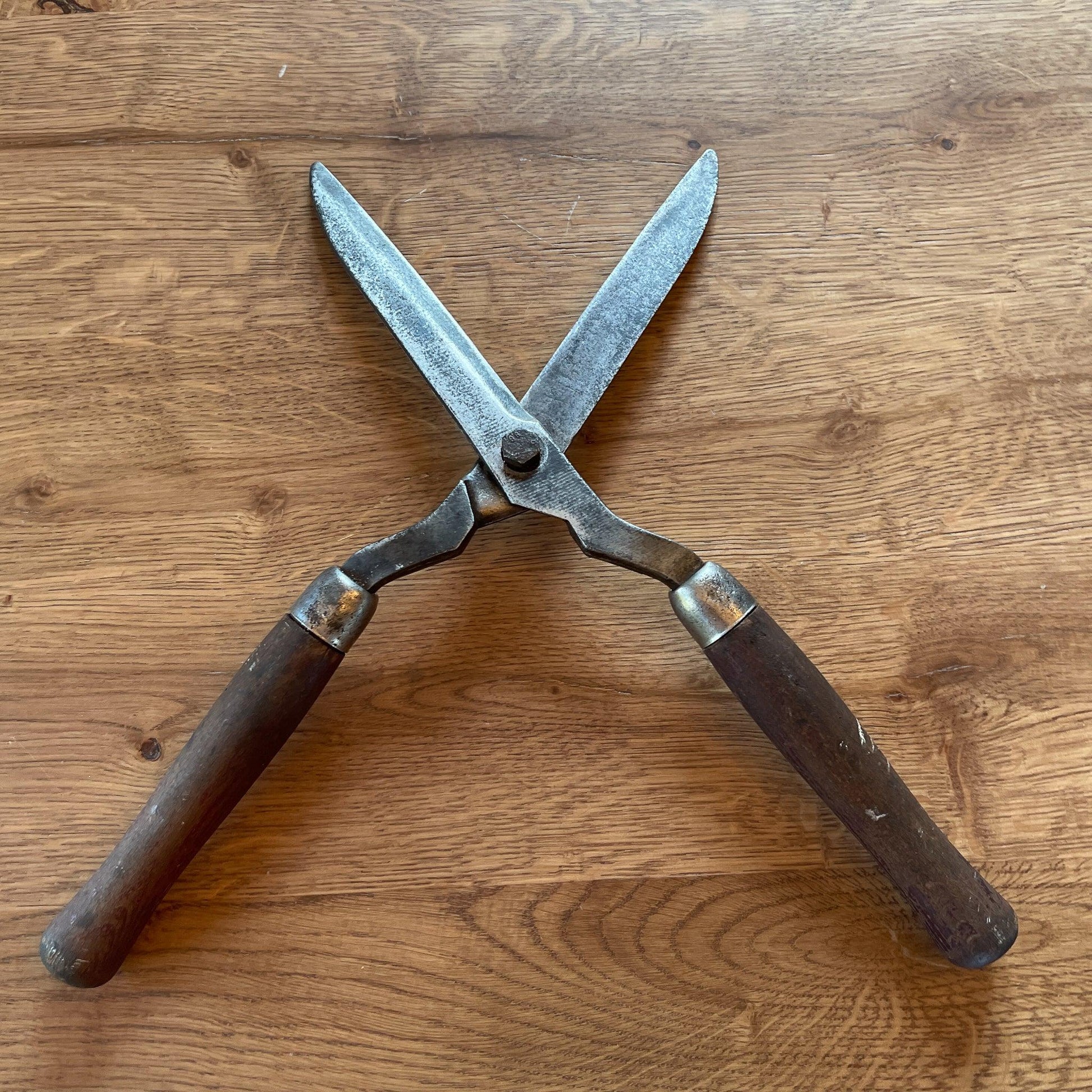 Prachtige antieke heggenschaar - Bamestra Curiosa