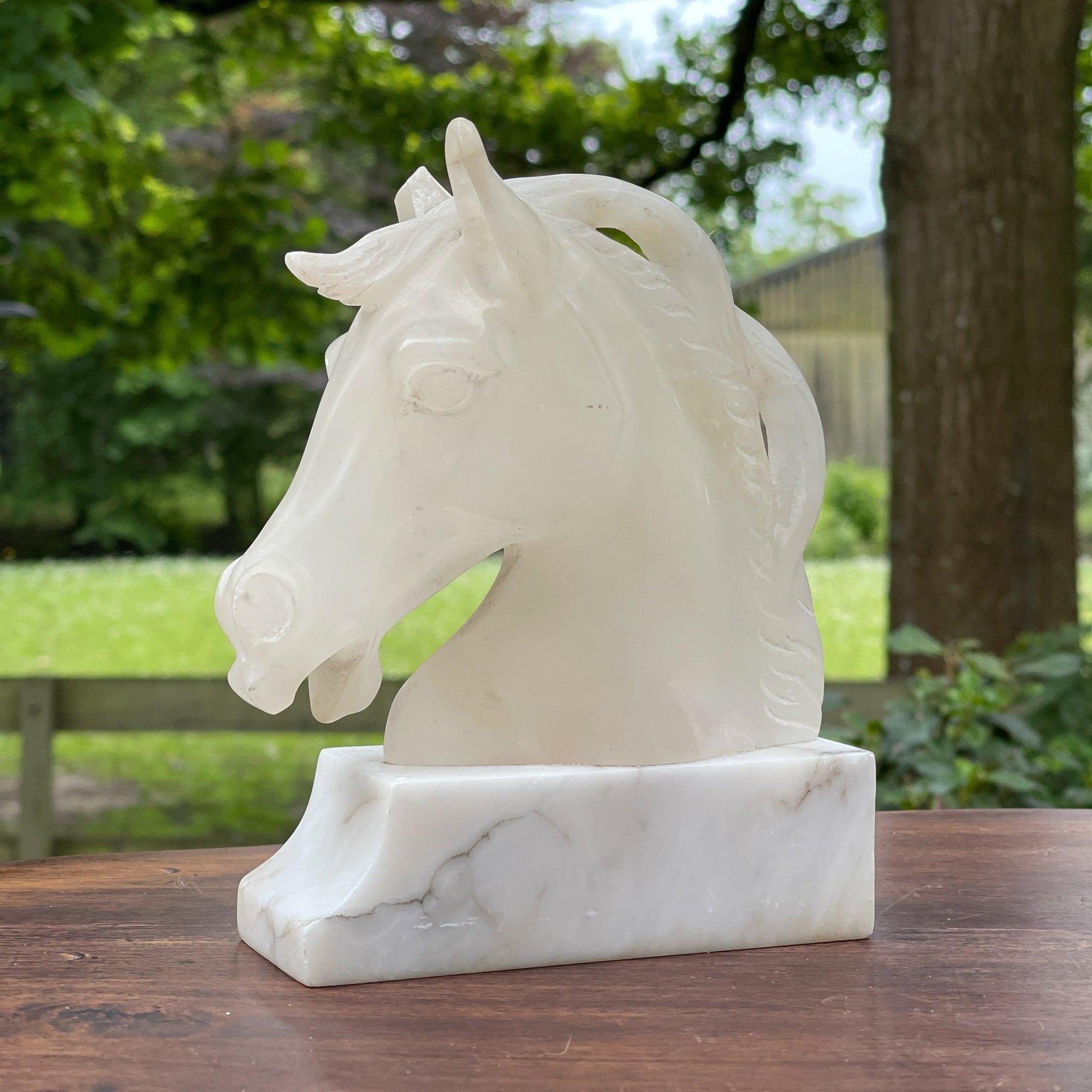 Presse papier paardenhoofd van peksteen op marmeren voet - Bamestra Curiosa