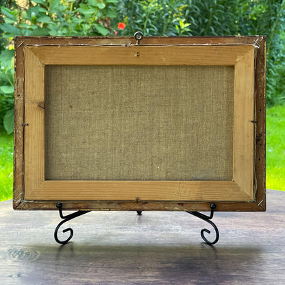 Schattig Hollands landschapje - Bamestra Curiosa