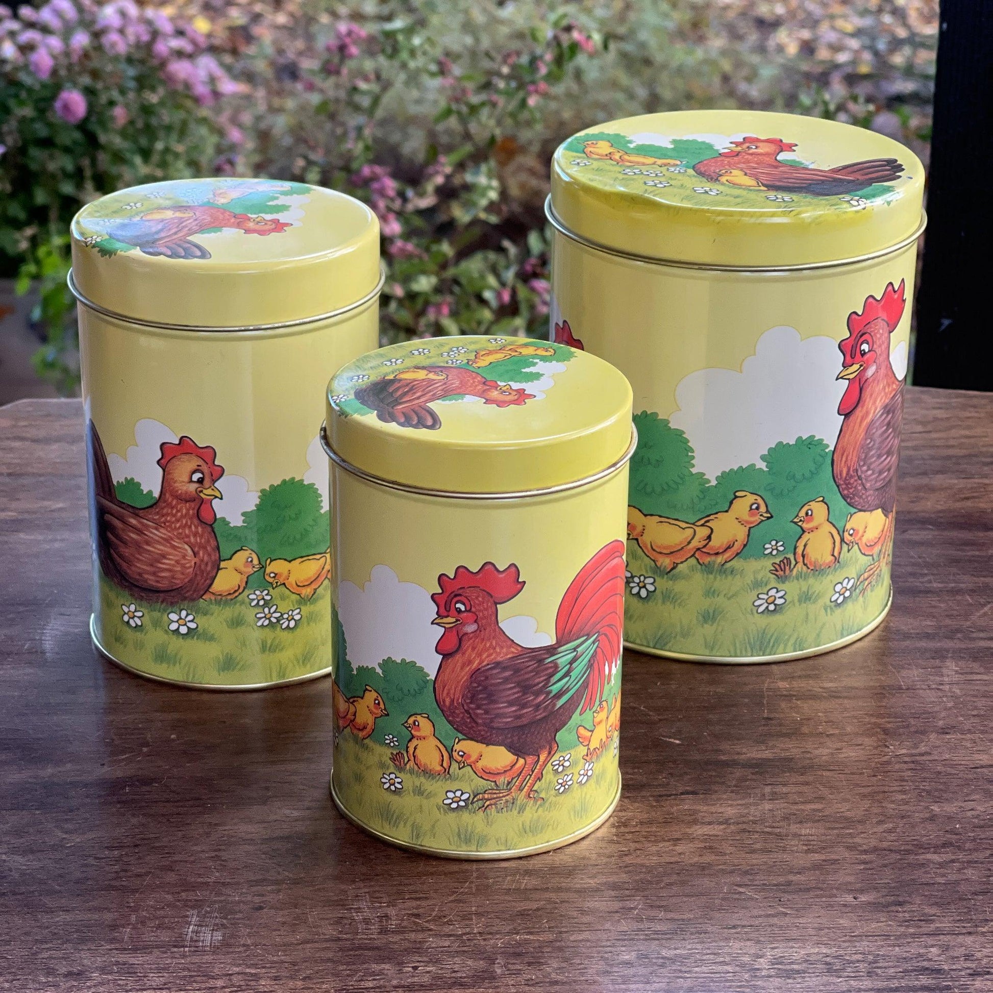 Set van 3 blikken met kippen en kuikentjes - Bamestra Curiosa